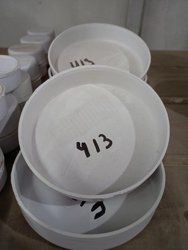 TAPA PVC 110 HEMBRA