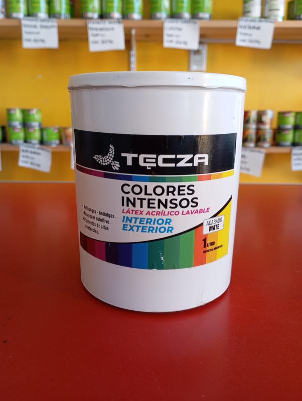 LATEX COLOR TECZA X 1LTS